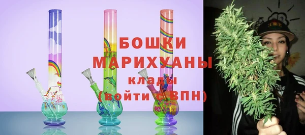 индика Инсар