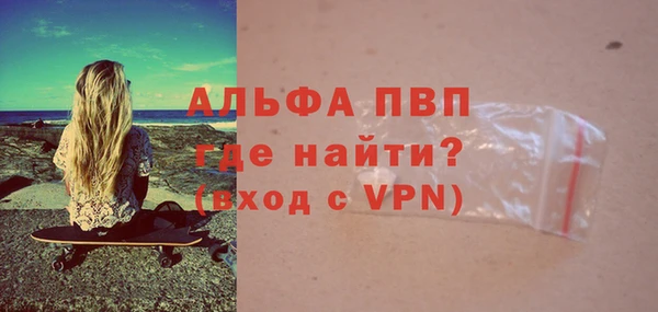 индика Инсар