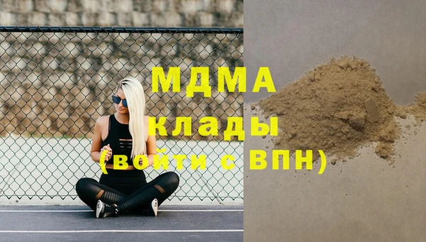 индика Инсар