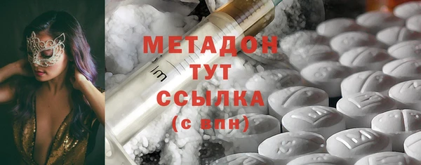 индика Инсар