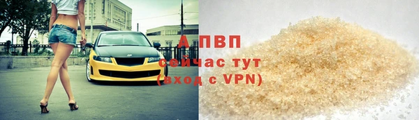 индика Инсар