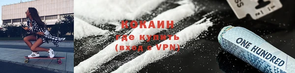 индика Инсар