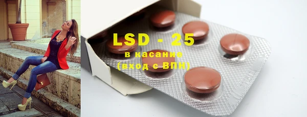индика Инсар
