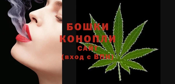 первитин Инта