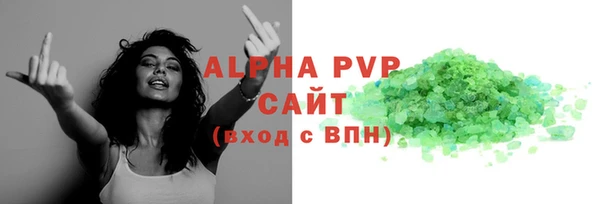 индика Инсар