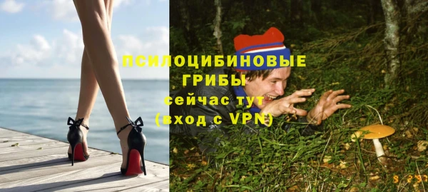 первитин Инта