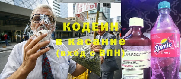 индика Инсар