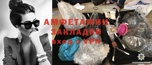 индика Инсар