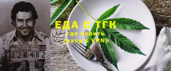 индика Инсар
