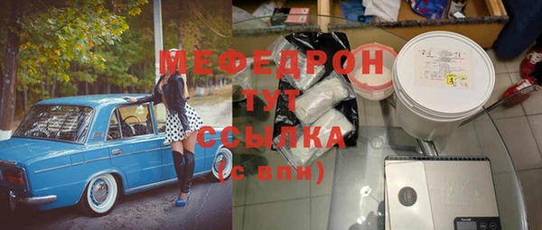 индика Инсар