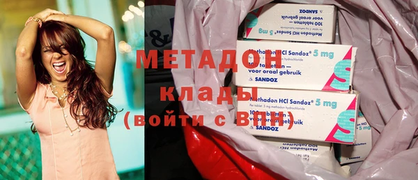 индика Инсар