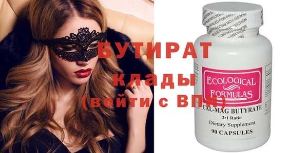 индика Инсар