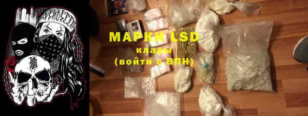 индика Инсар