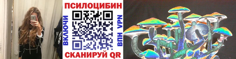 Купить закладки Старица Галлюциногенные грибы MAGIC MUSHROOMS